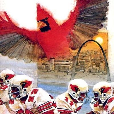 St. Louis/Phoenix/Arizona Cardinals Fan since 1985. NFL football 🏈 card collector. Proud Member of the Bird Gang.