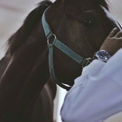 صدفه عوضتني عن كل البشر ياكبر حظي يوم عرفتك💛