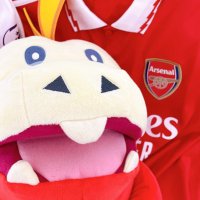 ラブソルのみかん (@arsenal_soldier) 's Twitter Profile