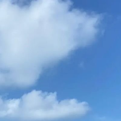 prchat_t's profile picture. 