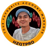 Hzqtpro(@hzqtpro) 's Twitter Profile Photo