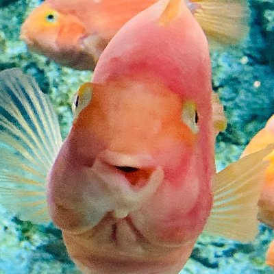 赤瑠璃さんのプロフィール画像