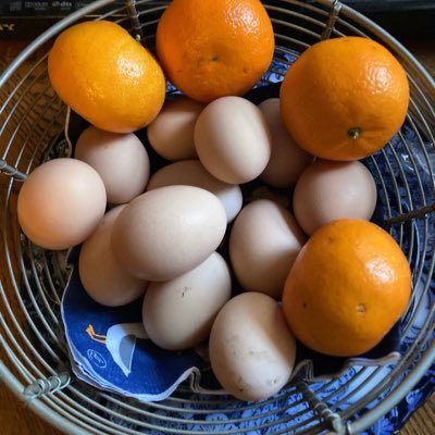 Trafficppl's profile picture. 