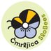 Društvo Čmrljica SloBees 🐝 (@CmrljicaSloBees) Twitter profile photo