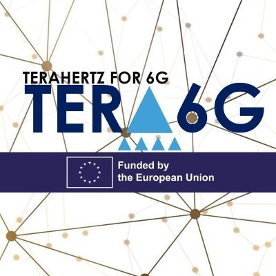 TERA6G Project Profile