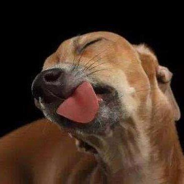 weiwin88868's profile picture. 無知的7年級中年大嬸
性別錯置，男兒魂 女人參

絕對沒有乎媽ˊ平常思想就這麼ㄎㄧㄤ偶爾講酐話