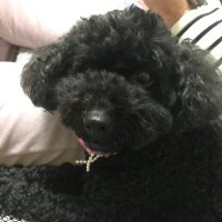 北野(KM) (@kmr4bym) 's Twitter Profile