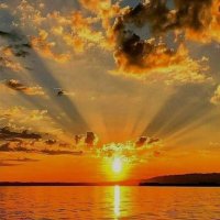 BUA5231 (@bua5231) 's Twitter Profile