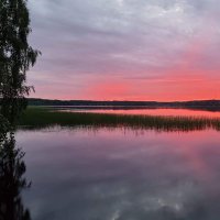 Petri Leppänen (@leppet0) 's Twitter Profile