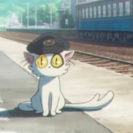 11355さんのプロフィール画像