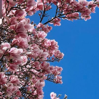 sevvalozkaraa's profile picture. Pek kimse onu anlamaz o görmez ya da umursamaz.