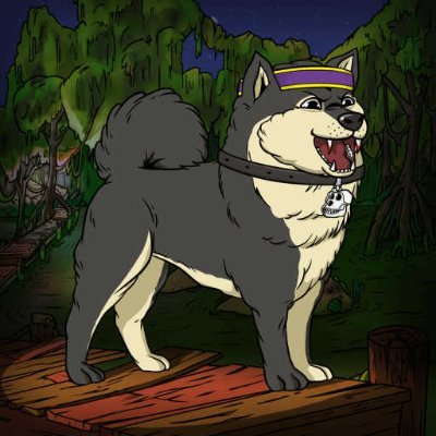 huskamp_1982's profile picture. Video Game Developer now in Italy #polygon #cryptoart #crowdfunding