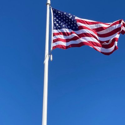 taylorsunlight's profile picture. je suis gentil