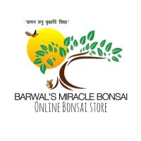 Barwal’s Miracle Bonsai(@miraclebonsai) 's Twitter Profile Photo