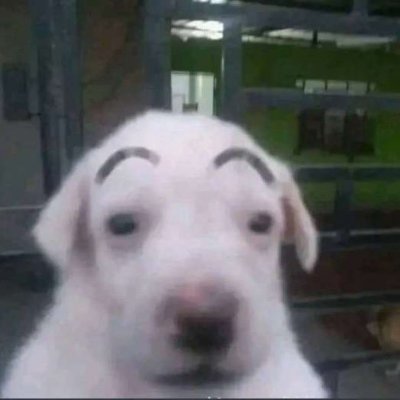 ArchipelLeVrai's profile picture. en vrai fuck twitter