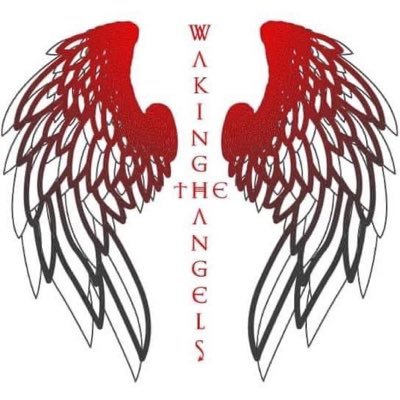 Waking The Angels