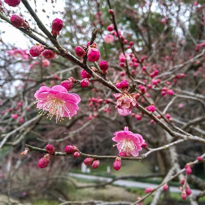 kumJWd96kCwJaIJ's profile picture. 