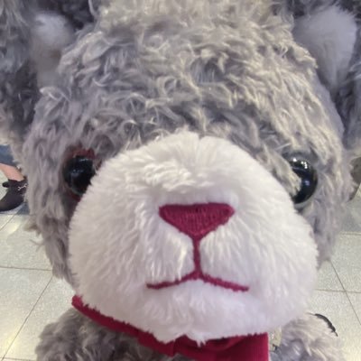 SAさんのプロフィール画像