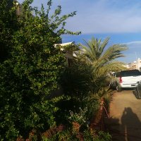 عبدالرحمن صالح الخزيم (@salehsaeed138) 's Twitter Profile