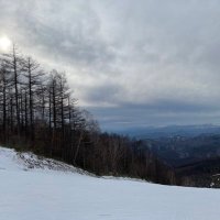 WEC さわだ (@swdwsdacc) 's Twitter Profile