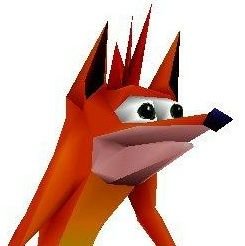 bandicooch69 Profile Picture