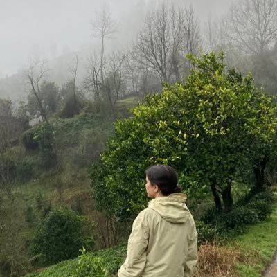 Pantone295C's profile picture. 