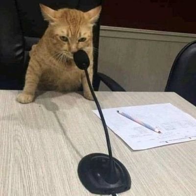 andalouse40's profile picture. 🤗  US Dax ❤️🤍 
Stade Rochelais 🖤💛