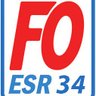 FOESR34's profile picture. Syndicat Force Ouvrière de l'Enseignement Supérieur et de la Recherche - section Universités Recherche - Hérault