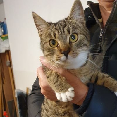 Erikkkking's profile picture. dadcat