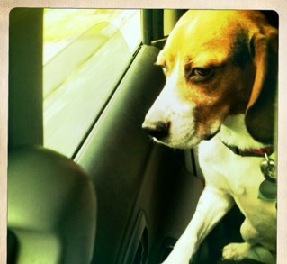 JosephBallaro's profile picture. just trying to stay in the know.