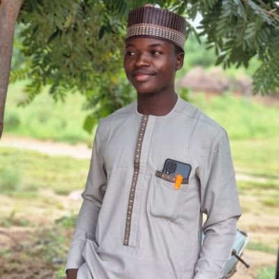 aliyukallau002's profile picture. Rapid Assessment Field Officer with New Incentives All Babies are Equal Initiative (NI-ABAE)