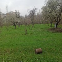 Kamuda bir gıda mühendisi (@gmuhendisi47) 's Twitter Profile