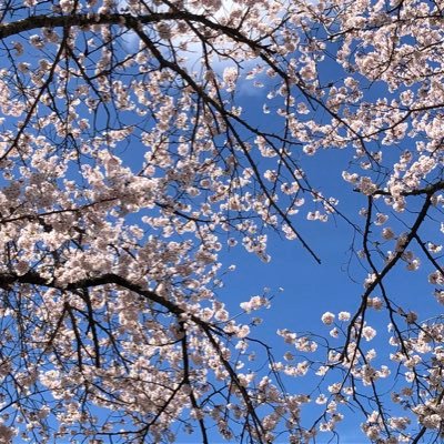 結婚してますが、旦那の両親とは付き合いたくない人。