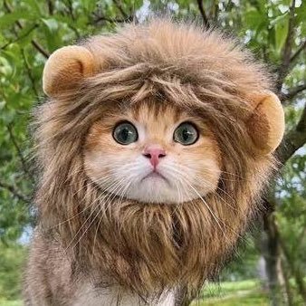 jprg1009's profile picture. 