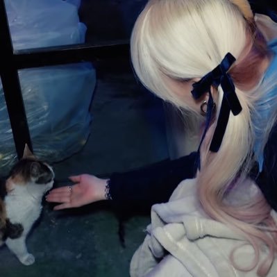 osorara_sorara's profile picture. 05'┊MS┊︎ﾛｯｹﾝ