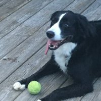 Brian Hughes (@ecpir8) 's Twitter Profile