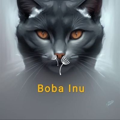 young154504429's profile picture. 