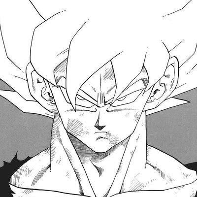 Dragon Ball Daily Panel