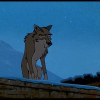 Nate Walker (@natewal01651906) 's Twitter Profile