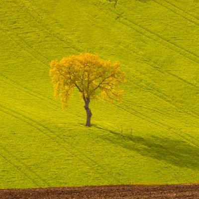 Landscape  / Longexposure Photographer / NFT artist https://t.co/AdZM7OKMlf https://t.co/mD9oFd4d40