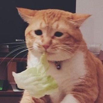키치죠지,니시오기쿠보 사는 도쿄 직장인 / 먹는 이야기 좋아해요 / 주로 먹는 데에 많이 씁니다 편하게 멘션 주세요 / 음식계정이나 일본 거주하시는 분들 위주로 팔로해요