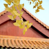 moderature (@moderature01) 's Twitter Profile