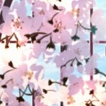 蘇芳サクラ (@suokaku) 's Twitter Profile Photo 蘇芳サクラ (@suokaku) 's Twitter Profile Photo