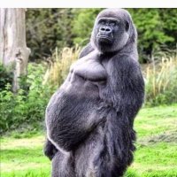 Michael (@michael13598348) 's Twitter Profile