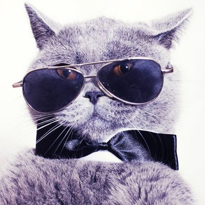 ed_mansson's profile picture. Wait and see