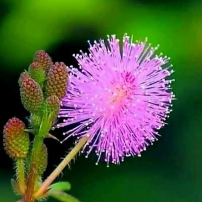 DrKSuresh2's profile picture. 