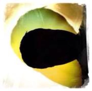 seankeeton's profile picture. 