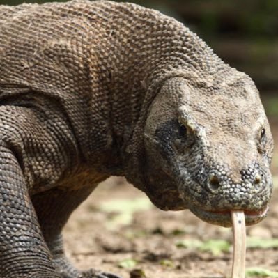 sinister107's profile picture. Lover of family, spirituality, football and interesting conversation.