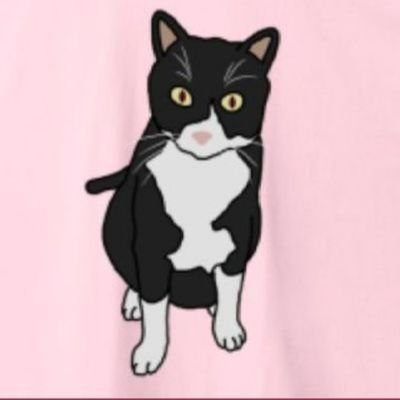 【今】を大切に…😶‍🌫️/猫好き🐈‍⬛/🗻🐱🐣🍟なちゃず