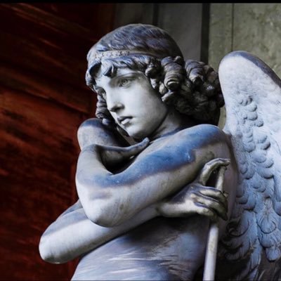 Qn Everything 🧐🤔 | FIRST DO NO HARM | JUSTICE ⚖️ | FORTITUDINE VINCIMUS | ❌No to Uniparty & top-down agendas❌